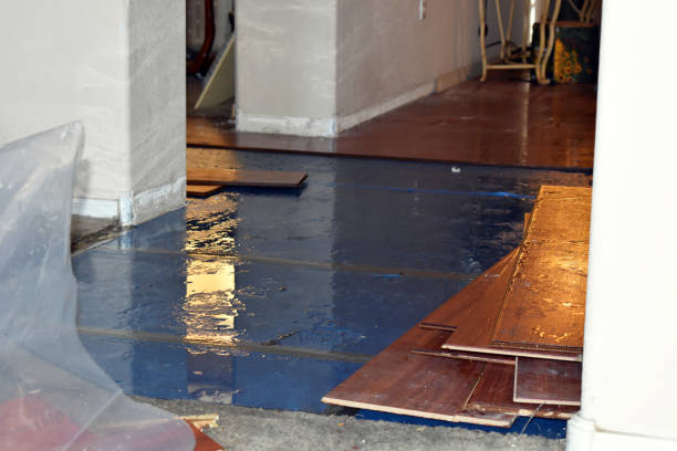 Professional Basement Flood Cleanup technician working in Cuddy, PA